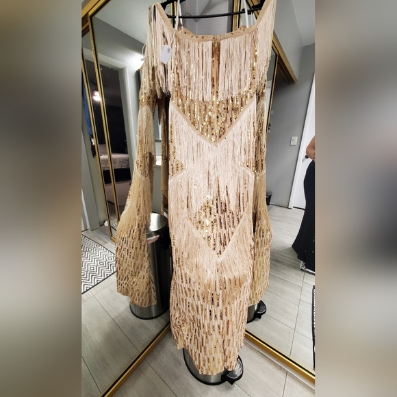 Elegant Beige Fringe Gown - Picture 6 of 11
